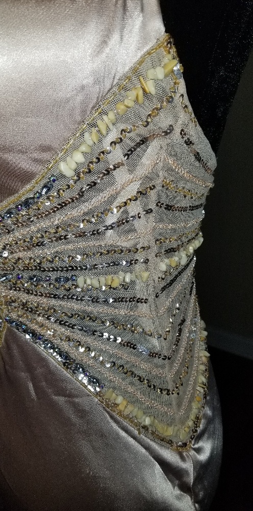 Champagne Beaded Vintage Cassandra Stone Dress - Picture 5 of 8